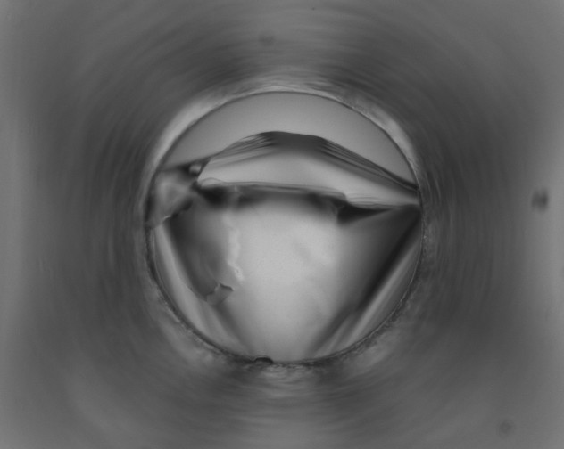 X0000091881146200710031736