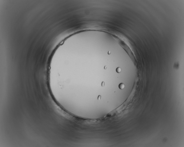 X0000091881147200710031736