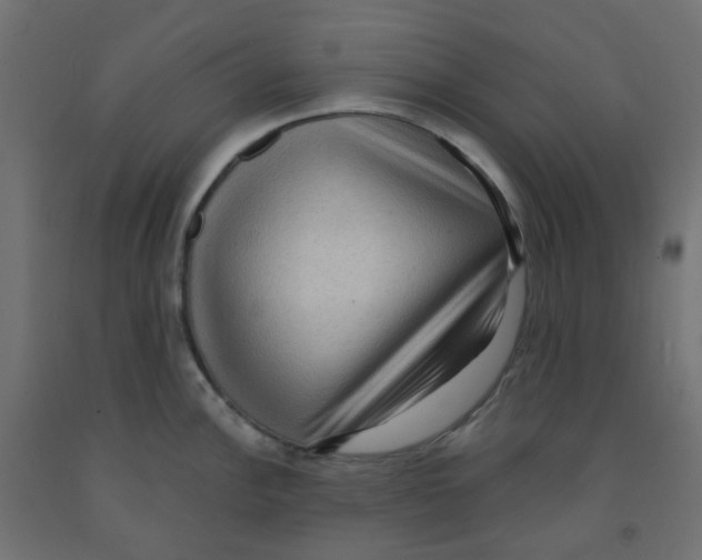 X0000091881148200710031736