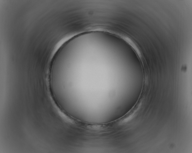 X0000091881149200710031736