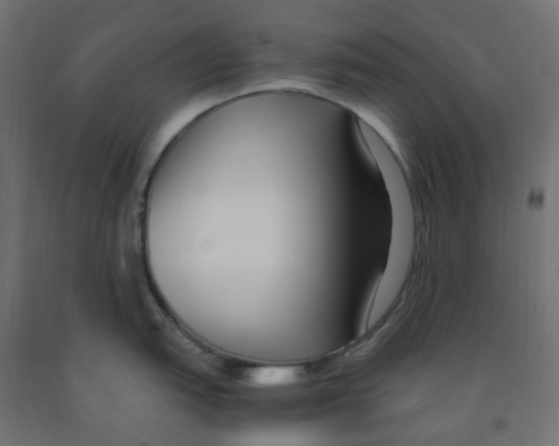 X0000091881151200710031736