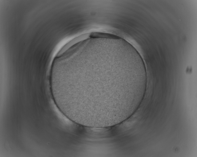 X0000091881152200710031736