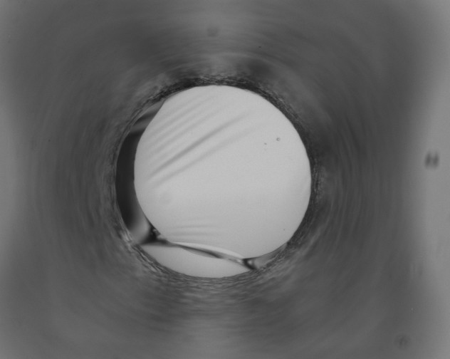 X0000091881153200710031736