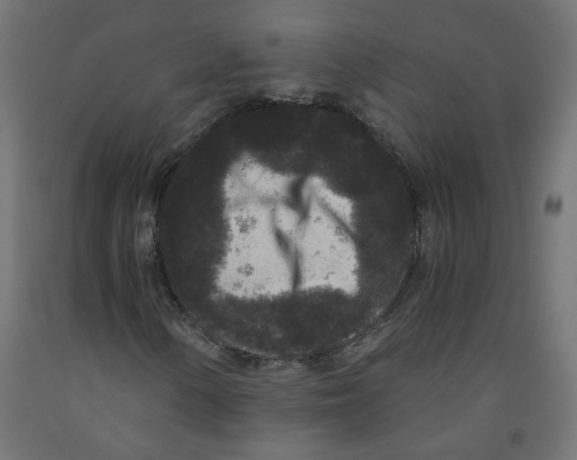 X0000091881154200710031736