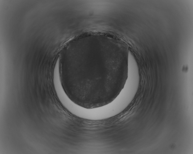 X0000091881156200710031736