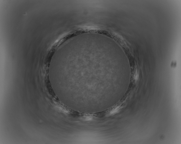 X0000091881157200710031736