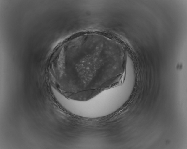 X0000091881160200710031736