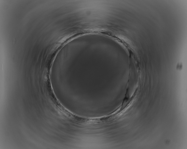 X0000091881161200710031736