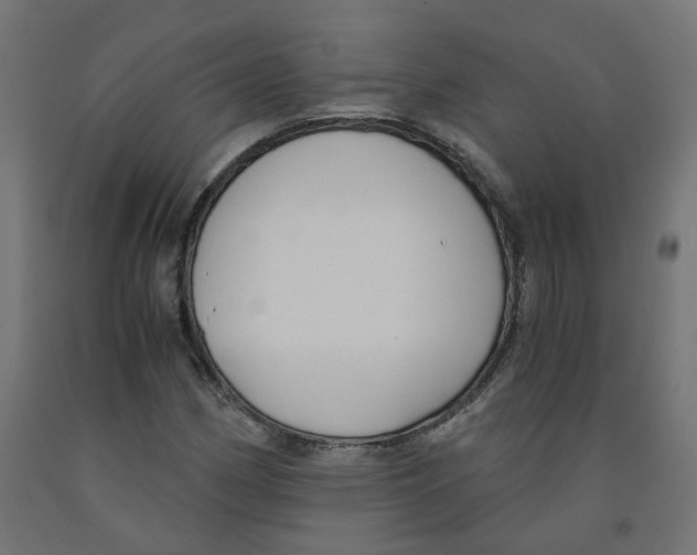 X0000091881162200710031736