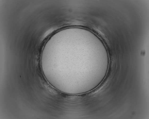 X0000091881163200710031736