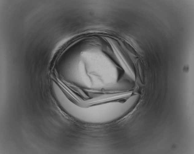 X0000091881164200710031736