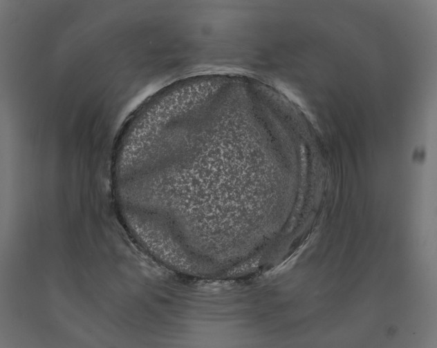 X0000091881165200710031736