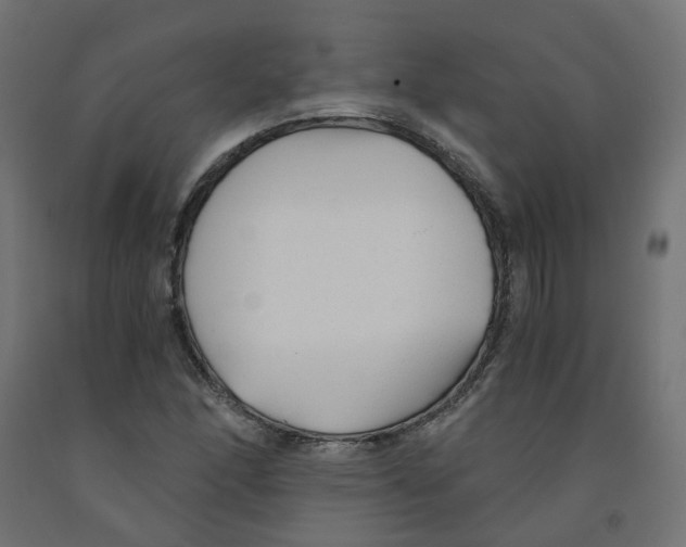 X0000091881166200710031736