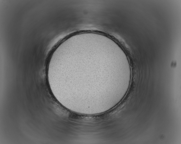 X0000091881167200710031736