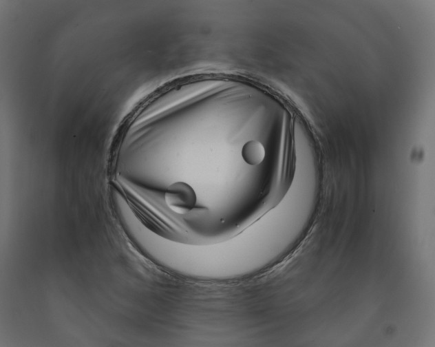 X0000091881168200710031736