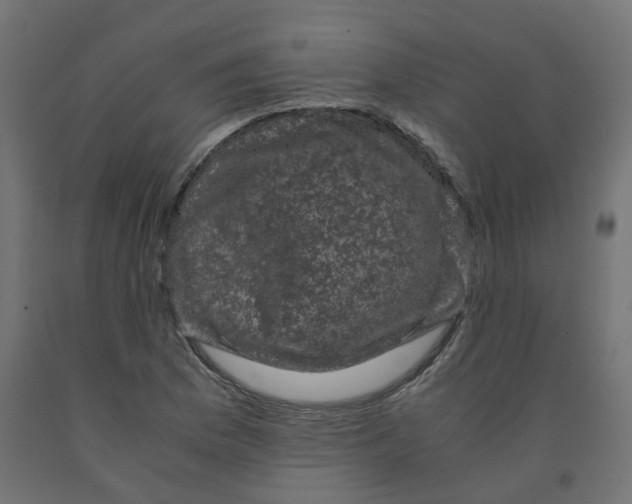 X0000091881169200710031736