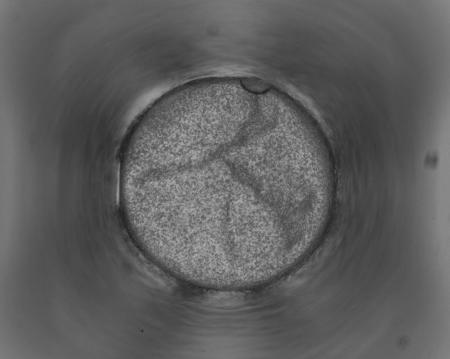 X0000091881171200710031735