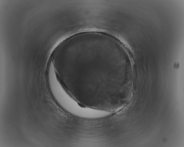 X0000091881173200710031735