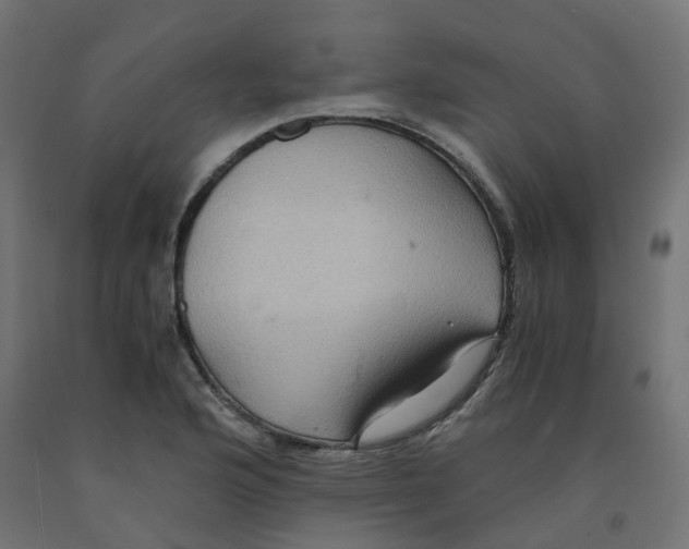 X0000091881176200710031735