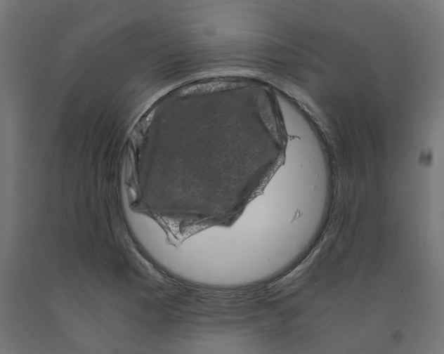 X0000091881177200710031735