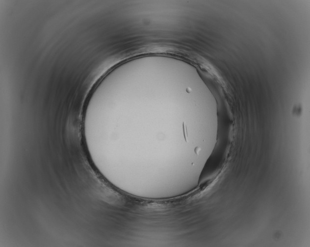 X0000091881178200710031735