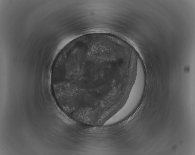 X0000091881179200710031735