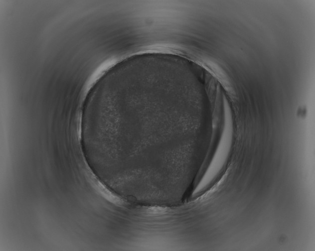 X0000091881180200710031735