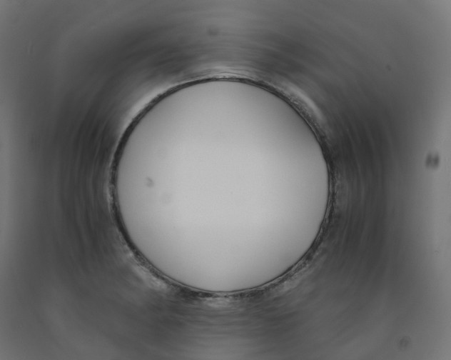 X0000091881182200710031735