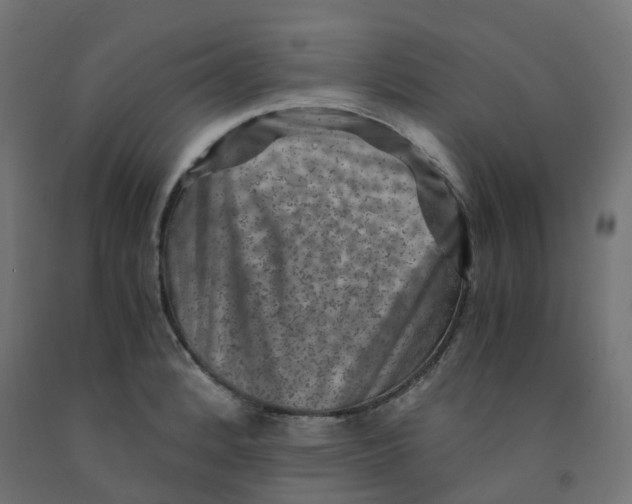 X0000091881184200710031735