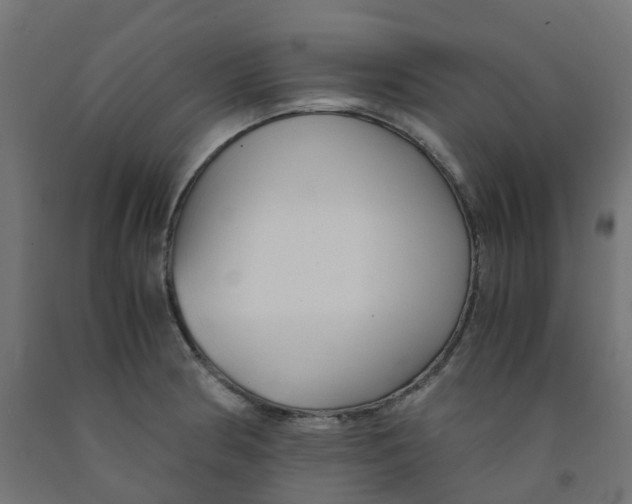 X0000091881186200710031735