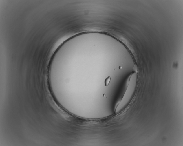 X0000091881187200710031735