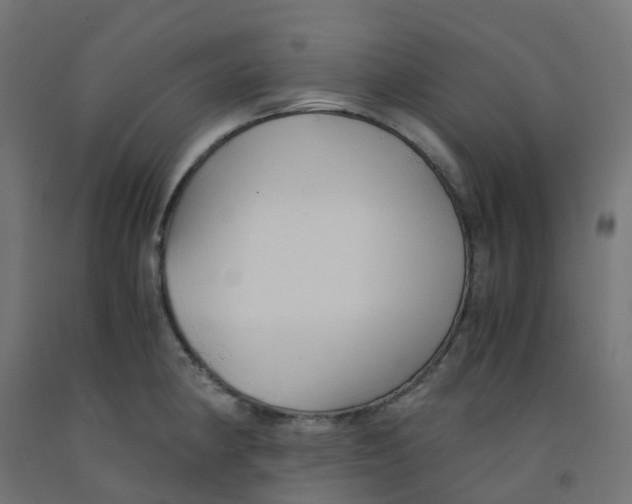 X0000091881190200710031735