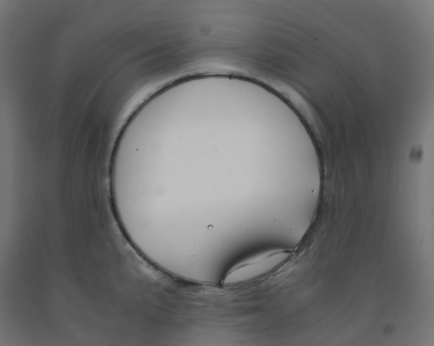 X0000091881191200710031735