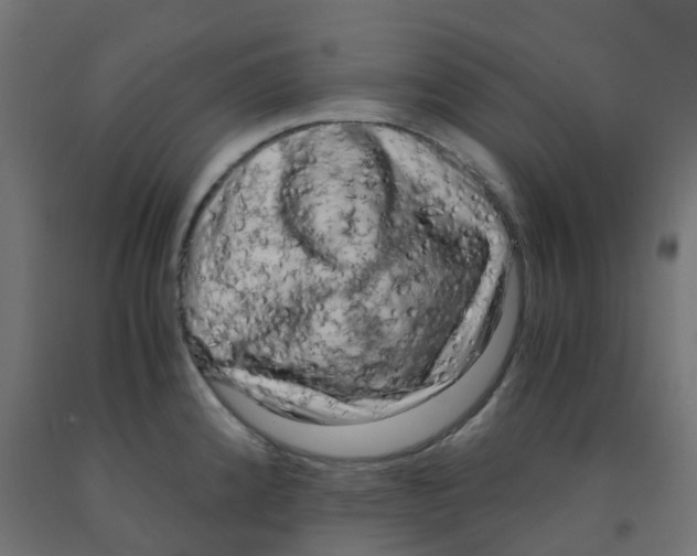 X0000091881192200710031735