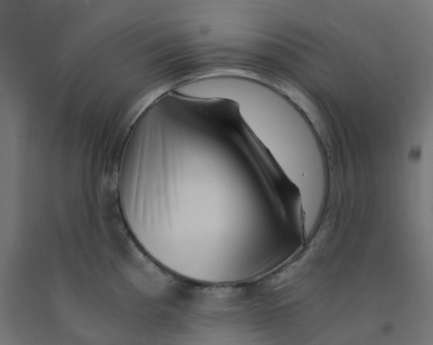 X0000091881193200710031735