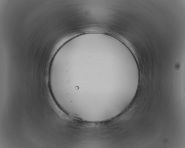 X0000091881195200710031735