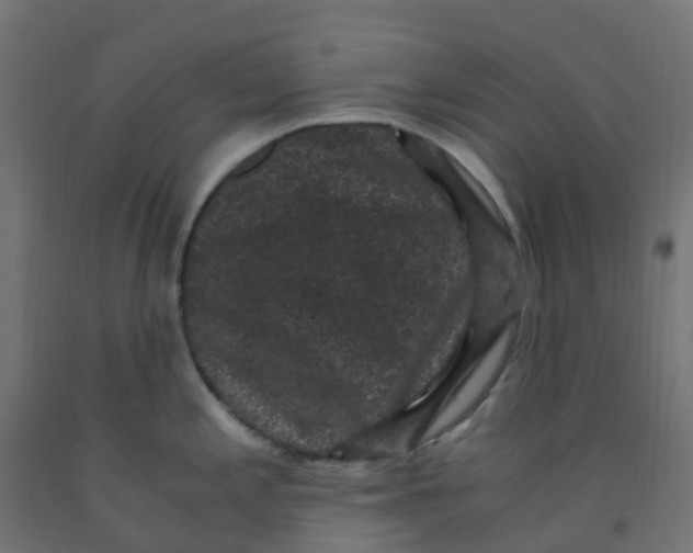 X0000091881197200710031735