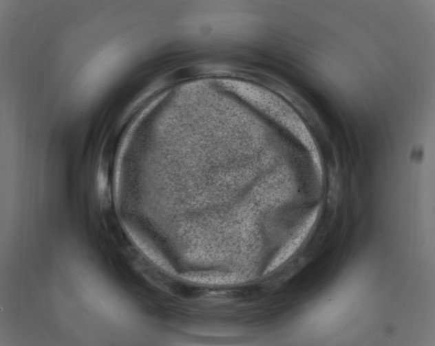 X0000091881198200710031735