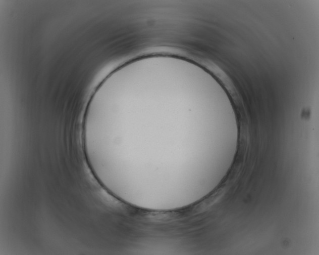 X0000091881199200710031735