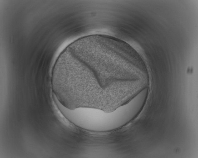 X0000091881200200710031735