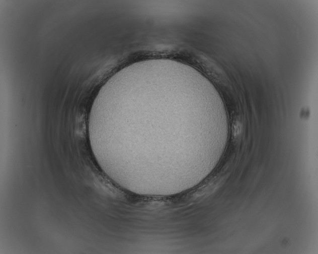 X0000091881204200710031735