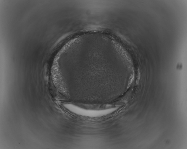 X0000091881206200710031735