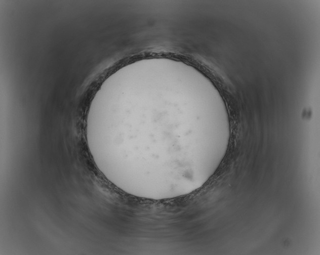 X0000091881207200710031735