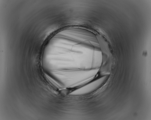 X0000091881210200710031735