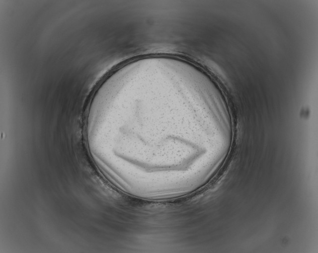 X0000091881212200710031735