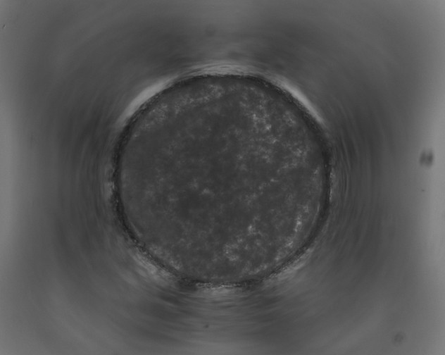 X0000091881213200710031735