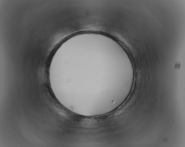 X0000091881215200710031735