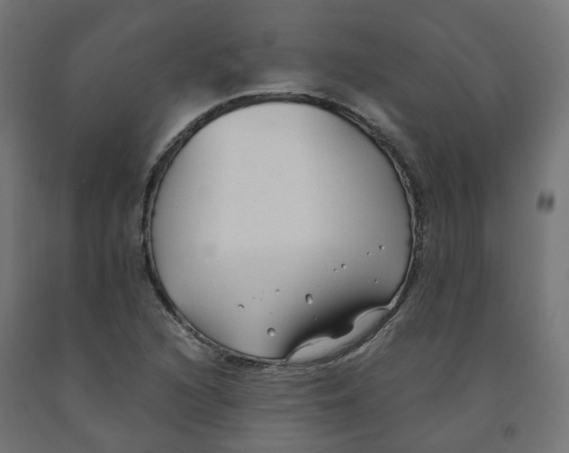 X0000091881216200710031735