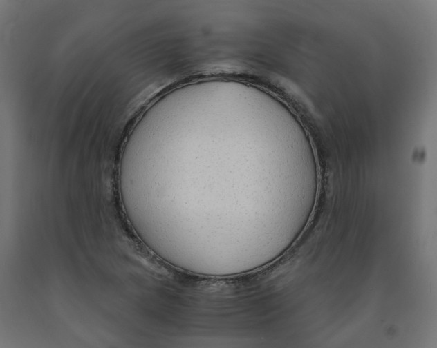 X0000091881217200710031735