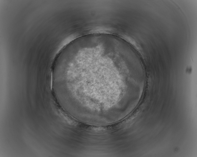 X0000091881219200710031735